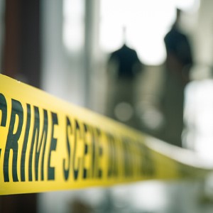 Basic Investigation Skills