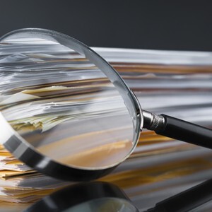 Professional Standards Investigations