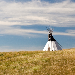 Indigenous Education Series