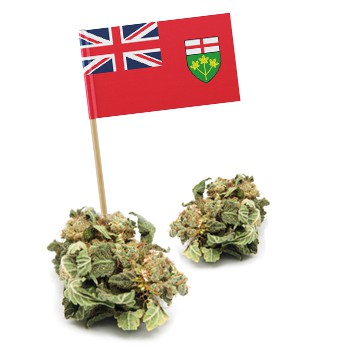 Introduction to the Federal and Ontario Cannabis Legislation