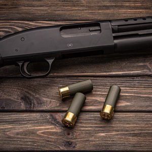 Firearm Seizures – In the Interest of Public Safety